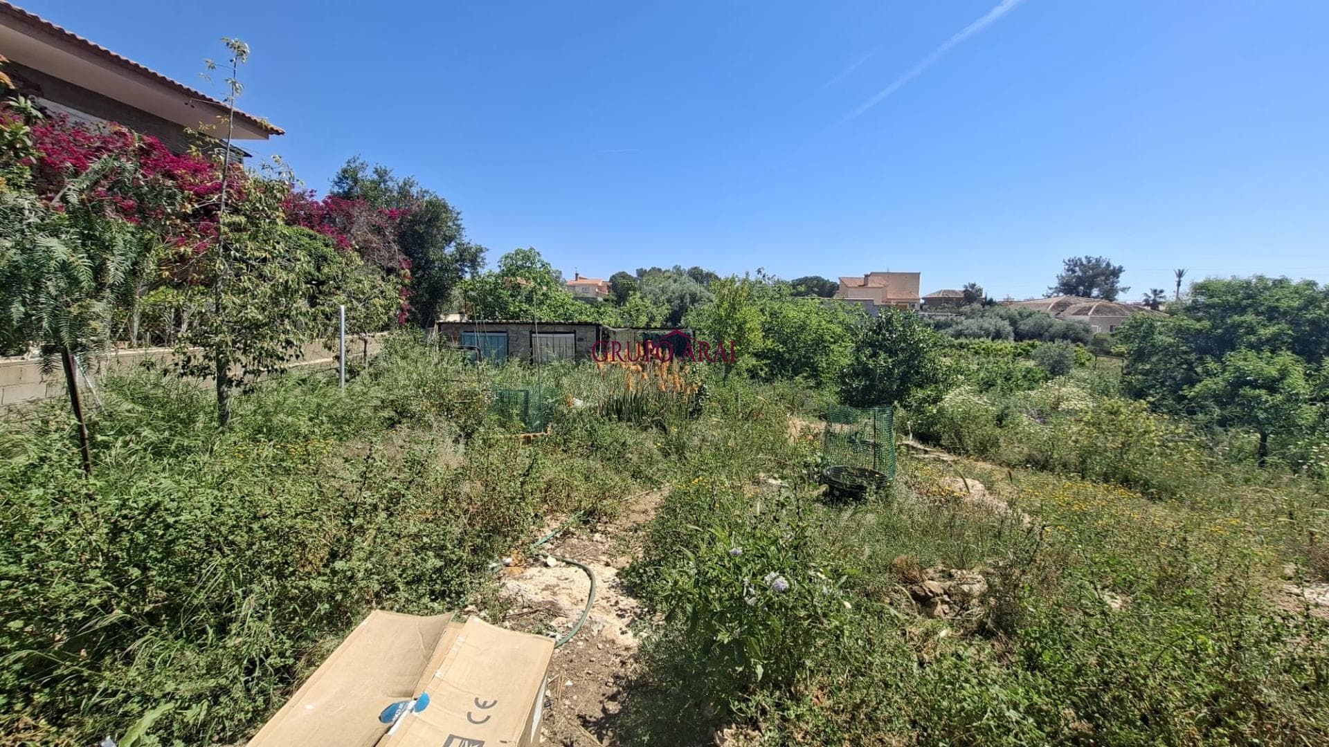 🌿 Finca rústica con gran parcela y múltiples posibilidades